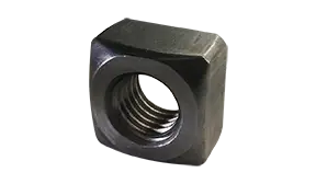Next Day Delivery 1/4"-20 Square Nuts 316 Stainless Steel (100 / Pkg.)