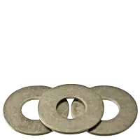 Time-Limited 5/16" x 7/8" x 0.062 Flat Washers, Commercial, 18-8 Stainless Steel A2, Qty 100
