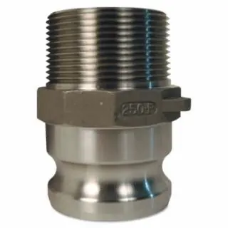 Secure Checkout Dixon Valve G75-F-SS 3/4" Stainless Global Male Npt X