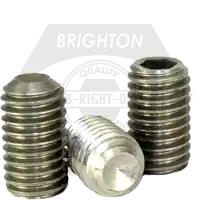 M2.5-0.45 x 10 mm Socket Set Screws Cup Point, 18-8 Stainless Steel A2, Coarse (UNC), Qty 100 One Day Deal