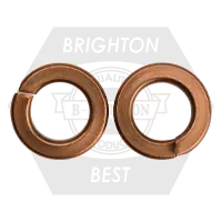 Limited Offer 5/16" Split Lock Washers, Silicon Bronze, Qty 200