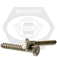 1/2"-6 x 10" Hex Lag Screws, 316 Stainless Steel, Qty 25 Buy Direct