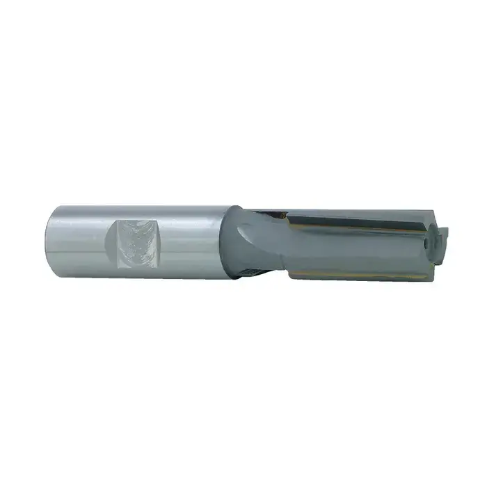 TTC PRODUCTION 24-310-200 1" Size, 1-1/4" LOC, 4 Flute, Bright Carbide Tipped Finishing End Mill Express Delivery