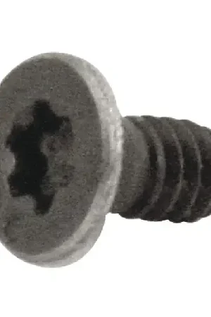 Order Now EVEREDE - 19040, Torx® Screw, 50031