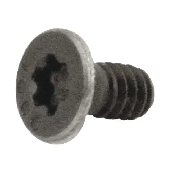 Order Now EVEREDE - 19040, Torx® Screw, 50031