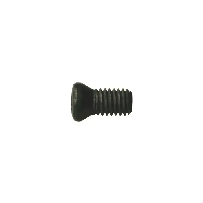 WALTER - FS1030, Torx® Screw, 5006706 Super Sale